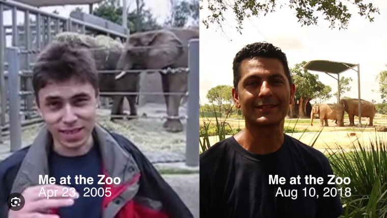Me at the zoo primeiro youtube